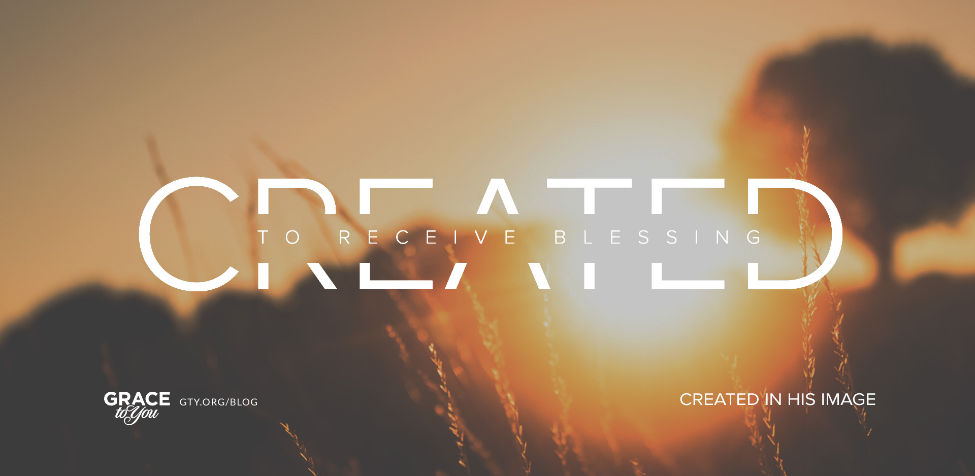 Blog Post - Created to Receive Blessing